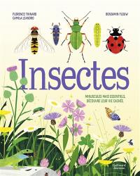 Insectes : minuscules mais essentiels, découvre leur vie cachée