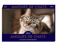 Amours de chats 2022 : l'agenda panoramique