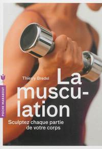 La musculation : sculptez chaque partie de votre corps