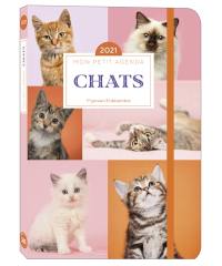 Mon petit agenda chats 2021 : du 1er janvier au 31 décembre