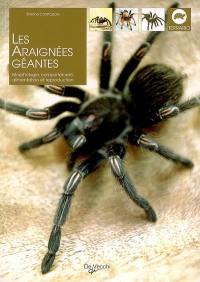 Les araignées géantes : morphologie, comportement, alimentation et reproduction