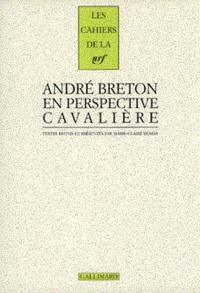 André Breton en perspective cavalière : avec des inédits d'André Breton