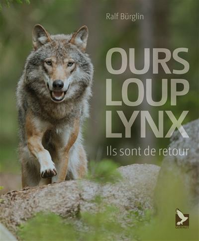 Ours, loup, lynx : ils sont de retour