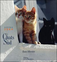 Les chats du Sud : agenda 2004