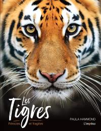 Les tigres : féroces et fragiles
