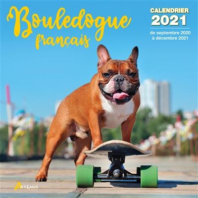 Bouledogue français : calendrier 2021 : de septembre 2020 à décembre 2021