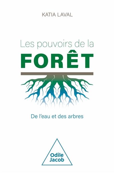 Les pouvoirs de la forêt : de l'eau et des arbres