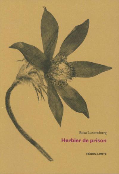 Herbier de prison (1915-1918)