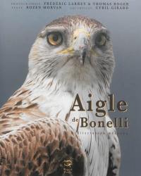 Aigle de Bonelli : méditerranéen méconnu