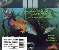 Découverte de la vie sous-marine de l'Atlantique, de la Manche et de la mer du Nord : poissons, crustacés, invertébrés... : guide d'identification