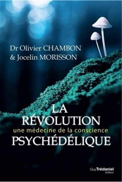 La révolution psychédélique : une médecine de la conscience