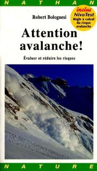 Attention ! Avalanches
