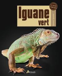 Iguane vert : iguana iguana