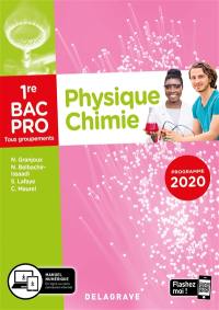 Physique chimie 1re bac pro tous groupements : programme 2020