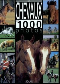 Les chevaux en 1.000 photos