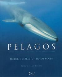 Pelagos : voyage naturaliste au large de la Méditerranée