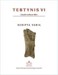 Tebtynis : fouilles franco-italiennes. Vol. 6. Scripta varia : textes hiéroglyphiques, hiératiques, démotiques, araméens, grecs et coptes sur différents supports (S.V.Tebt. I)