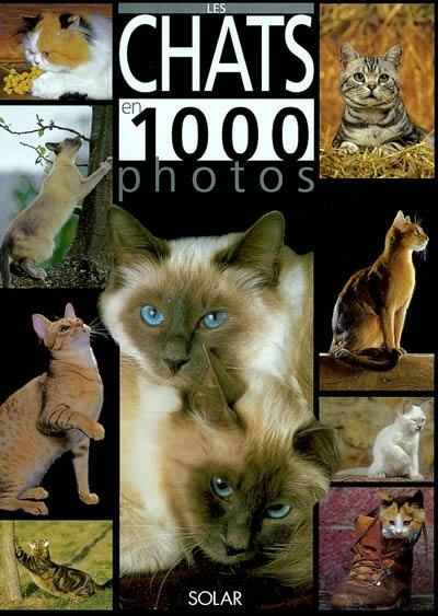 Les chats en 1.000 photos