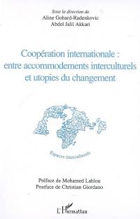 Coopération internationale : entre accommodements interculturels et utopies du changement