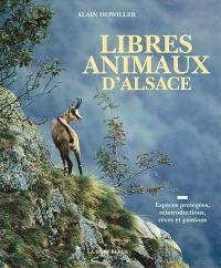 Libres animaux d'Alsace : espèces protégées, réintroductions, rêves et passion