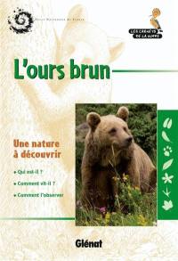 L'ours brun : une nature à découvrir