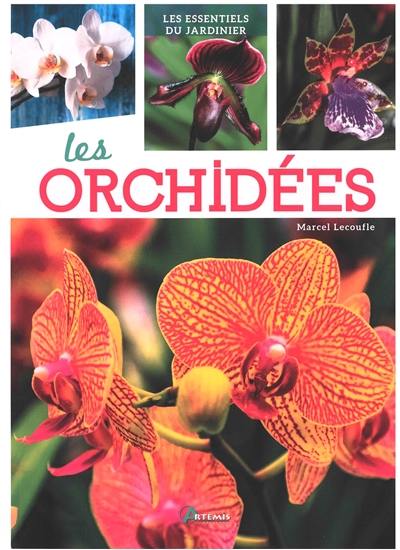 Les orchidées