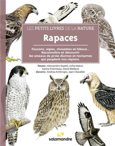 Rapaces : faucons, aigles, chouettes et hiboux... : reconnaître et découvrir les oiseaux de proie diurnes et nocturnes qui peuplent nos régions