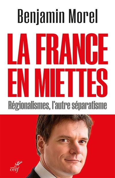La France en miettes : régionalismes, l'autre séparatisme