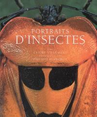 Portraits d'insectes