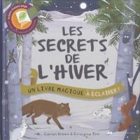 Les secrets de l'hiver : un livre magique à éclairer !