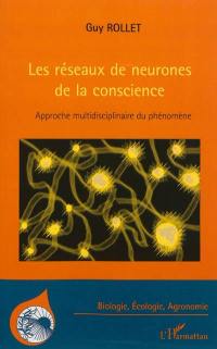 Les réseaux de neurones de la conscience : approche multidisciplinaire du phénomène