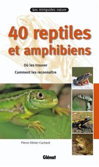 40 reptiles et amphibiens : où les trouver, comment les reconnaître