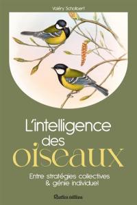 L'intelligence des oiseaux : entre stratégies collectives & génie individuel