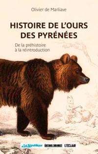 Histoire de l'ours des Pyrénées : de la préhistoire à la réintroduction