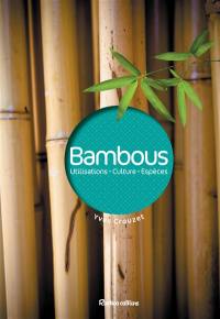Bambous : utilisations, culture, espèces