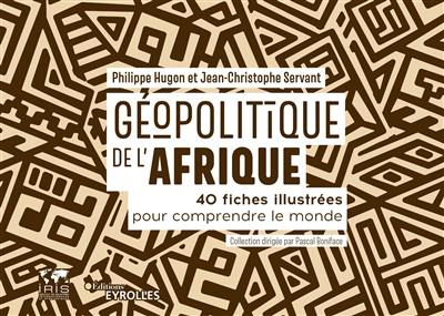 Géopolitique de l'Afrique : 40 fiches illustrées pour comprendre le monde