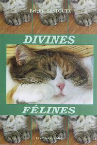 Divines félines