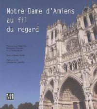 Notre-Dame d'Amiens au fil du regard. A look along Notre-Dame d'Amiens