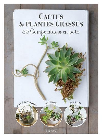 Cactus & plantes grasses : 50 compositions en pots
