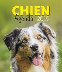 Chien : agenda 2019