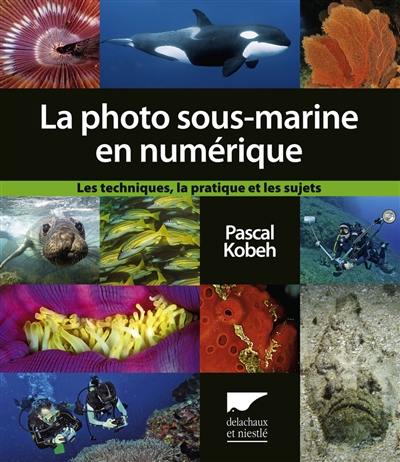 La photo sous-marine en numérique : les techniques, la pratique et les sujets